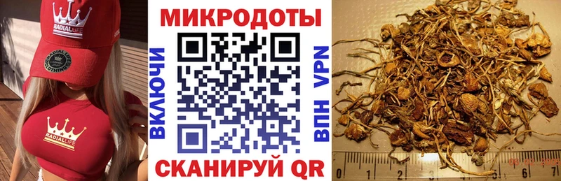 Галлюциногенные грибы Psilocybe  МЕГА ссылка  Приозерск 