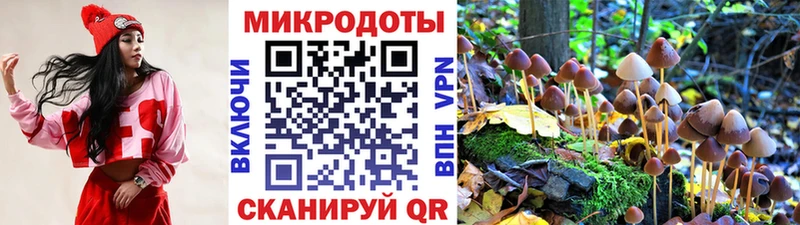 Галлюциногенные грибы GOLDEN TEACHER Приозерск